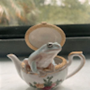 Meet your Posher, Alice